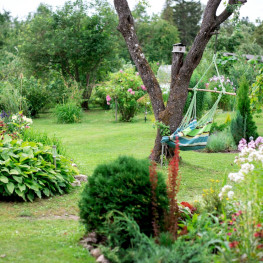 Triki ogrodnicze, które sprawią, że twój ogród będzie kwitnąć cały rok